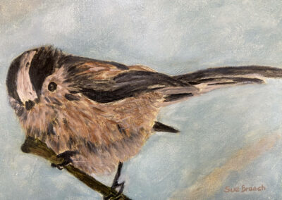 bird portraits artist East Sussex