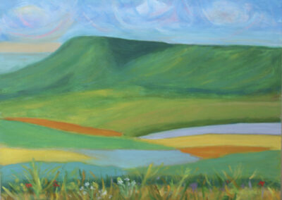 Sussex Downland present colourful